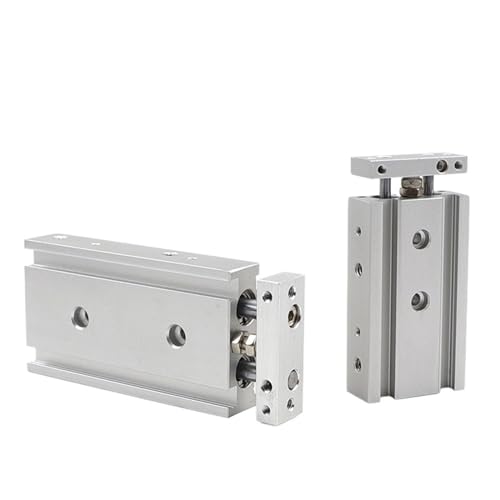 Vérin double tige TR20-60 pneumatique avec double guidage de précision