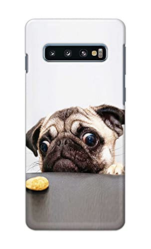 Image of PRINTFIDAA� Printed Hard Back Cover Case for Samsung Galaxy S10 Plus | Samsung S10+ Back Cover (Pug Dog) -2808