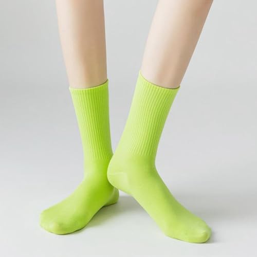 Image of Womens Colorful Basic Sock -Unique Knit Cotton Crew Socks 3 Pack