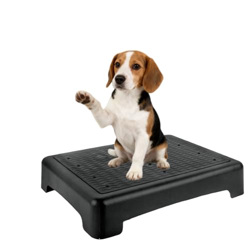 Dmnnlp Dog Training Place Board with Whistle Non-Slip Portable Dog Platform for Agility Puppy Training Equipment for Small Medium Dogs 17.3x13.4x3.8 (Black)