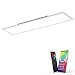 Produktbild Paul Neuhaus Q-Flag, LED Panel, 120x30, Smart-Home | dimmbare Decken-Lampe mit steuerbarer Farbtemperatur, warmweiss - kaltweiss | Decken-Leuchte Alexa kompatibel