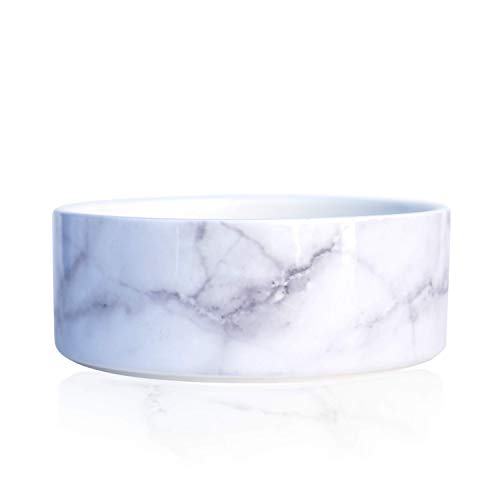 Should We Go? Ceramic Dog Bowl: Cute, Modern Food and Water Bowl