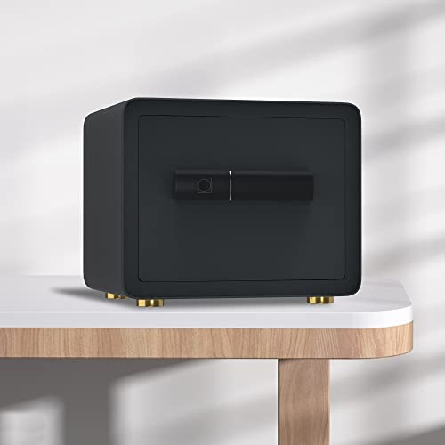 Ytsafeco Biometric Safe Box - 0.9 Cubic Feet Auto-Open Fingerprint Safe With Removable Shelf, Sensor Light, Full Felt Lining - Q345 Alloy Steel Home Safe - Luxury Cabinet Safe For Home Office Storage #TOP5