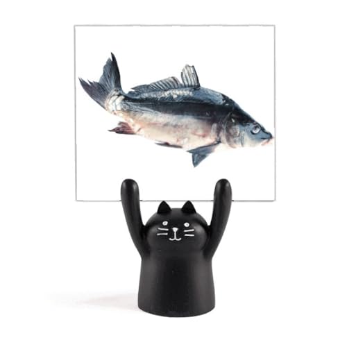 Cm̊Hi J[gD[LX^h^z_[