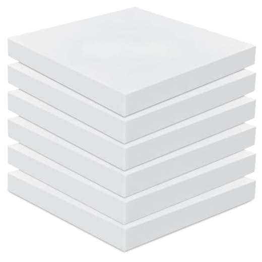 Frienda 6 Pack Upholstery Foam Cushions