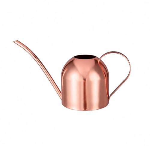 IMEEA Indoor Watering Can for House Plants 33oz/1L Stainless Steel Watering Can with Long Spout for...