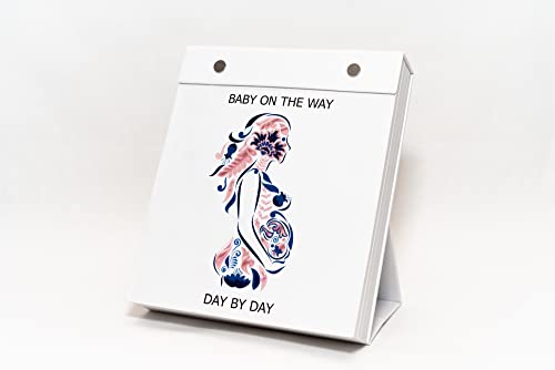 Baby On The Way - Day By Day Pregnancy Calendar, Pregnancy Guide, Pregnancy Gift, Daily Countdown Planner, Pregnancy Journal, Keepsake Journal, Pregnancy Keepsake, Pregnancy Journal, New Mom Gift #TOP1