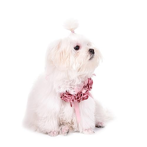 Mineatig Hundehalsband Mit Blume,Hund Hochzeit Halsband,EinstellbareBlumen Haustier Krage,Hochzeit Hundehalsbänder Hundehalsband,Hund Hochzeit Halsband, 45-61cm