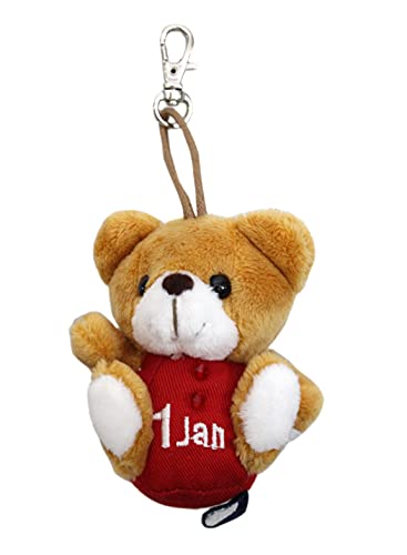 �e�C�N�I�t �ʂ������ �v�`BEAR'S365 1�� �u���E��