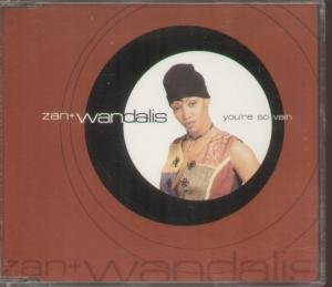 YOU'RE SO VAIN CD UK PULSE 8 1994 6 TRACK FEATURING ORIGINAL 7",SOUTHSIDE RADIO EDIT,BLACKSMITHS HIP HOP MIX,BLACKSMITHS SOUTH SIDE MIX,ORIGINAL CLUB MIX AND TOUGH BEAT DUB (CDLOSE78)