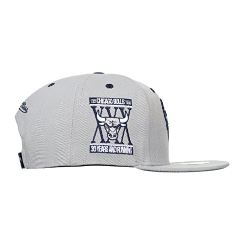 Mitchell & Ness Chicago Bulls Grey District Snapback Adjustable Cap #TOP2