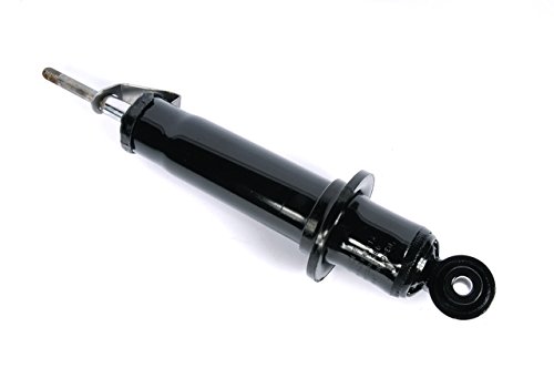 Amazon.com: General Motors 92263480, Shock Absorber : Everything Else