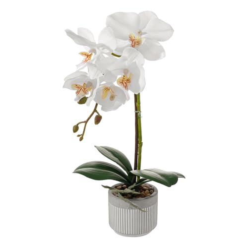 13.7" White Artificial Orchid Flowers in Ceramic Pot, Realistic Silk Phalaenopsis Arrangement with Stone, Waterproof Fake Orchid Plant for Bathroom, Home Office Table Top Centerpiece Decor(Orchid 1) by LILUYTO - Used condition - US$8.01