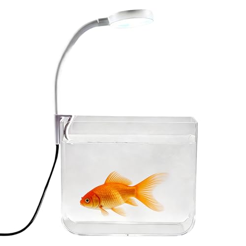 de mesa - Mini transparente, mesa compacta con luz de clip, decoración del hogar moderna | Betta Tank hábitat acuático, pantalla de visualización
