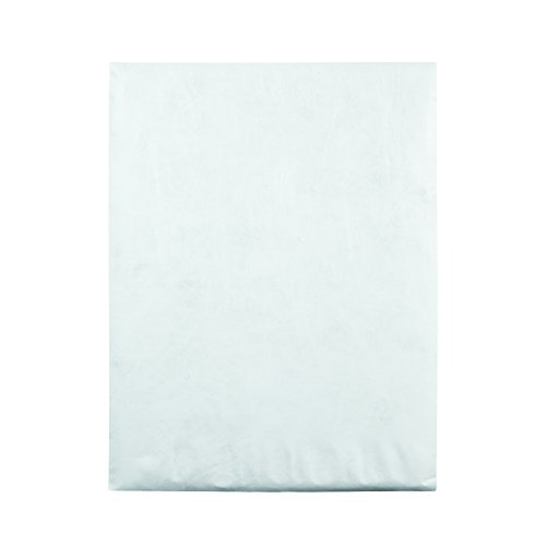 Survivor R1520 Tyvek Mailer, 9 1/2 X 12 1/2, White (Box Of 100) #TOP4