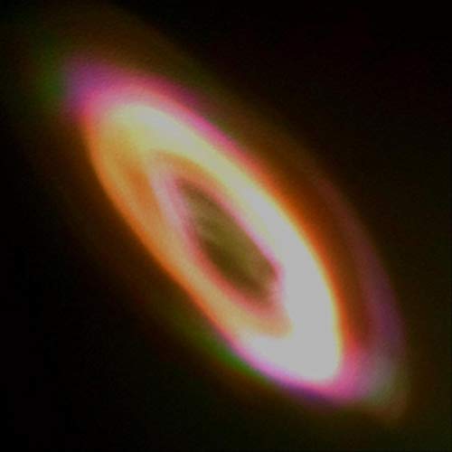 Octopus and Vinegar Rice