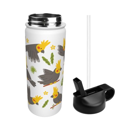  ʔ CR   IE X|[c{g @r e q l  Xg[t ۉۗ  v[g Mtg