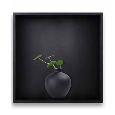 Niche de douche design noir mat pour optimiser le rangement de la salle de bain