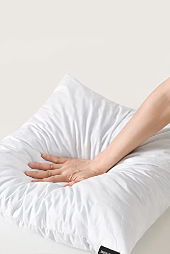 Basic Home Euro-Kisseneinlagen, Memory-Schaum-Füllung, hohe Dichte, mit Langer Unterstützung, für Zuhause, Couch, Hotel-Kollektion, Baumwollstoff, 28 x 28 cm, 2 Stück