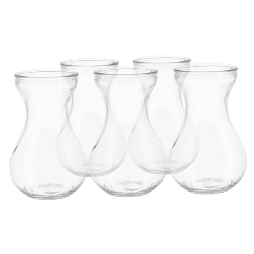 Alipis Vase à Fleurs en Verre Transparent Lot De 5, Vase Hydroponique Compact pour Jacinthes D'intérieur, Contenant Floral Stable pour Décoration De Bureau Et Table