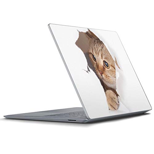 igsticker Surface Laptop3 / Laptop2 / Laptop 13.5C` pXLV[ Microsoft T[tFX T[tBX m[gubN m[gp\R Jo[ P[X tB XebJ[ ANZT[ ی 
