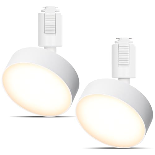 Ɩ 2Zbg _Ng[pCg X|bgCg ̌^ LED  100W` 925lm dF GT-GD-10YW-2B CeBO[p ԐڏƖ VƖ _CjO rO Lb` px tȒP ȃGlyzC