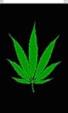 NEOPlex 3' x 5' Plain Leaf Marijuana Premium Flag