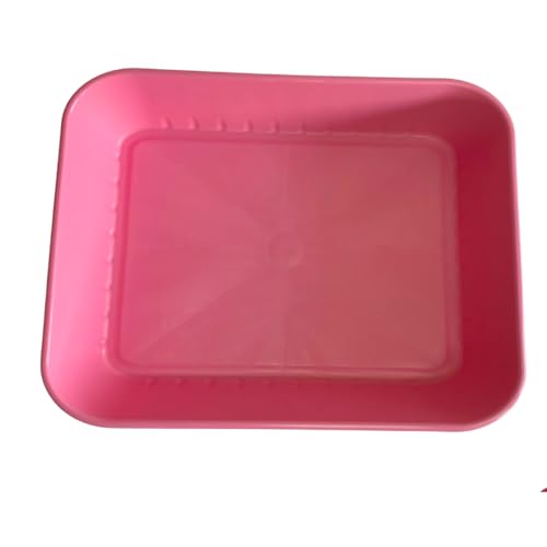 Caixa de Areia Para Gatos Bandeja Para Gato Silica Granulado Tamanho (43x33x10cm) Com Pá Higiênica -