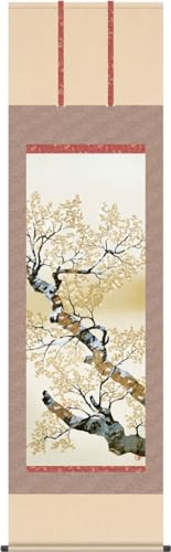 |-Rԁ^R (ڌ)54.5×190p̊ _  얼  xmp 5G9-136