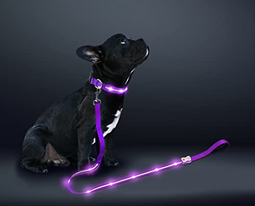 Lavender Pet Light Up Dog Leash - USB-C Rechargeable, 10hr Battery Life | 4 Ft LED Dog Leash with Soft Handle | Reflective Dog Leash with Quick Charging USB Type-C Battery, Purple