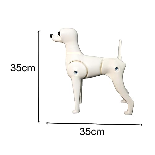 Qianly Hund Körper Modell Hund Mannequin Stehen Position Hund Modell Pet Pflege Hund Modell, Mehrfarbig, Teddy-Hund