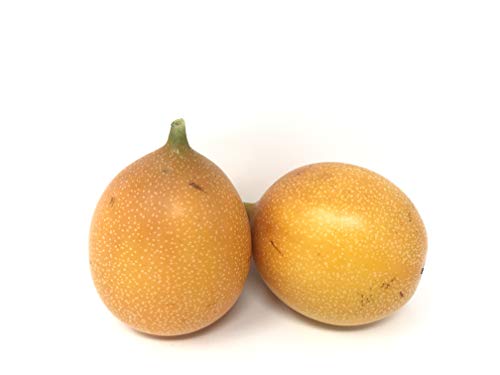 [Bundle Pack] Amae Yellow Passionfruit 2 Count