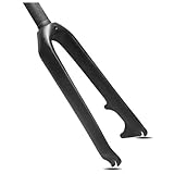 Fourche avant entièrement en fibre de carbone : les lames en fibre de carbone contribuent à minimiser les vibrations et le poids, tout en assurant une rigidité essentielle.