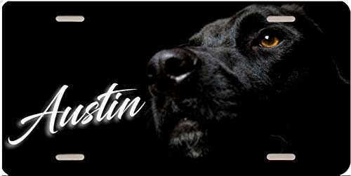 Personalized License Plate - Black Labrador Retriever Couple or Single Name Design