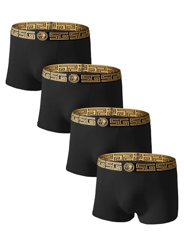 Men's Underwear Boxer Briefs, Viscose Trunks Shorts Underpants, Moisture Wicking Breathable Natural Fashion 5-Pack