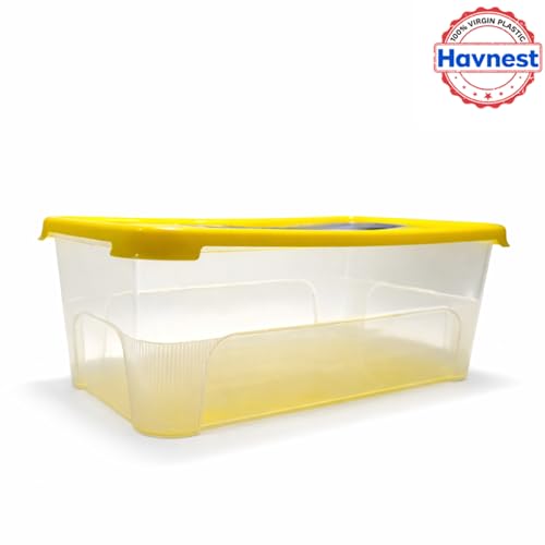 Image of Clear Storage Box (Pack of 2, Large) | 100% Virgin Plastic | Transparent, Stackable Organiser for Jewelry, Beads, Sewing,Medicines & More | Portable Design(Red /Blue /Yellow)