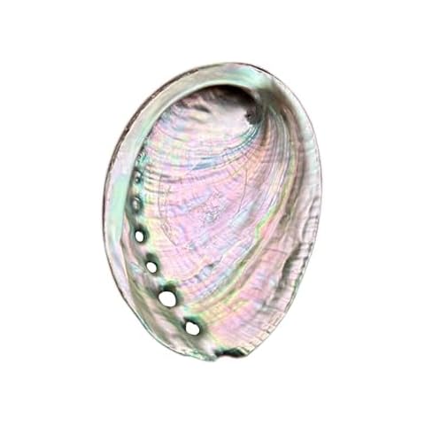 BRBASAP Abalone Shell Bowl Cover