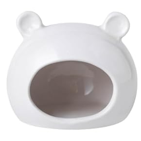 118期@爬虫類用具整理中  118期@爬虫類用具整理中 Amazon | 折り畳み式爬虫類飼育ケージ