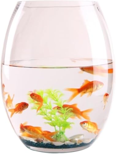 PVTK�ی^�萁���K���X������ �������t���[ �N���X�^���N���A�݌v �e�[�u���A�N�A���E�� �ϗt�A�����k�͔|���p �������C���e���A�ԕr �ƒ�p��������? (15cm)