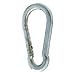 Apex Cooper Campbell T7645036V Campbell Chain Zinc-Plated Steel Spring Snap 200 lb. 3-1/5 in. L, No Size, Silver