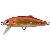 タックルハウス(TACKLE HOUSE) バフェット ドラス BUDR46 D121 ゴールドレッド 46mm