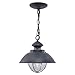 VAXCEL Indoor Outdoor Pendant Light - Harwich Textured Gray with Clear Seeded Glass Shade, Coastal, Rustic Farmhouse, Hanging Ceiling Barn Light for Garage, Front Door, Porch and Patio