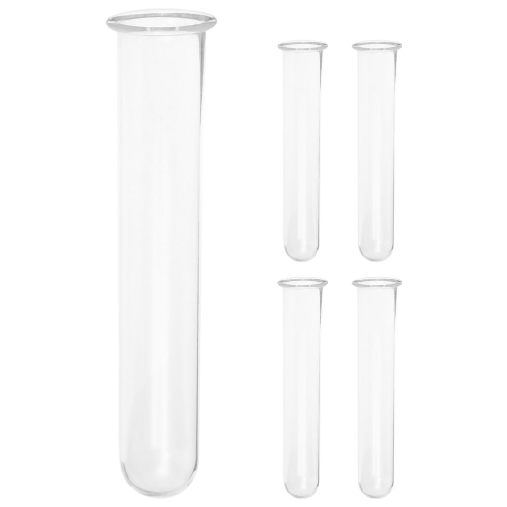 Vase tube à essai hydroponique en verre pour décoration bureau et maison chic