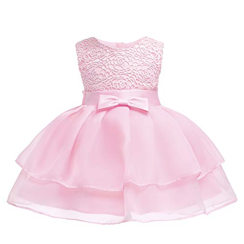 Girl Dress Kids Ruffles Lace Party Wedding Dresses Embroidered One Year Old Size 12-18M Baby Girls Cake Layer Ball Gown Blush Pink Birthday Graduation Tulle Special Occasion Tops Infant (Pink L)
