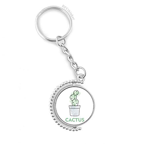 Cactus succulentes aquarelle : le cadeau idéal pour amateurs de plantes