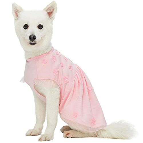 Blueberry Pet My Little Princess Dog Tulle Dress In Baby Pink With Dainty Flower, Back Length 12", Pack Of 1 Clothes For Dogs #TOP1