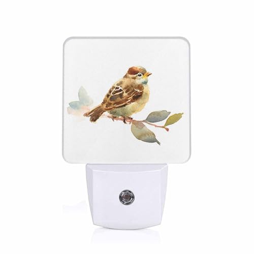 Image of LED Night Light Plug into Wall with Dusk to Dawn Light Sensor White Energy Efficient Baby Sparrow Bird Nightlight for Bedroom Bathroom Hallway Living Room Kitchen