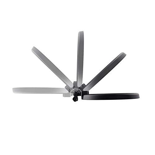 LXDDP 18-Zoll-LED-Ringlicht, 55W 240-LED-Ringlicht 5500K Fotografie, mit Spiegel und Stativständer, für Videoaufnahmen… – Bild 5