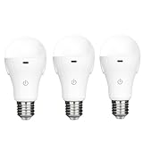 BoRccdit Rechargeable Light Bulbs