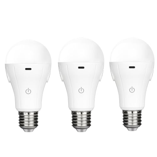 BoRccdit Rechargeable Light Bulbs